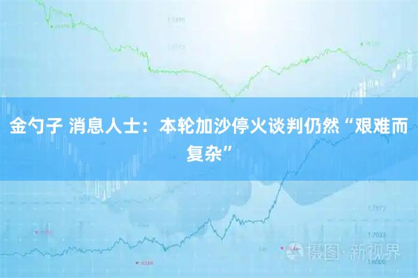 金勺子 消息人士：本轮加沙停火谈判仍然“艰难而复杂”