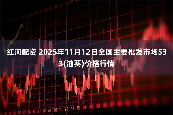 红河配资 2025年11月12日全国主要批发市场S33(油葵)价格行情