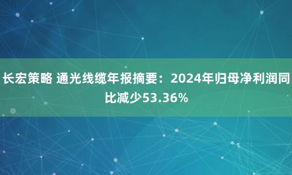 长宏策略 通光线缆年报摘要：2024年归母净利润同比减少53.36%