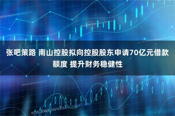 张吧策路 南山控股拟向控股股东申请70亿元借款额度 提升财务稳健性