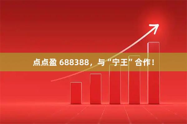点点盈 688388，与“宁王”合作！
