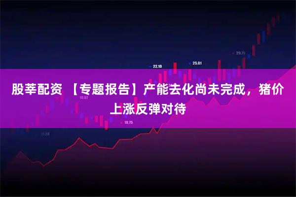 股莘配资 【专题报告】产能去化尚未完成，猪价上涨反弹对待